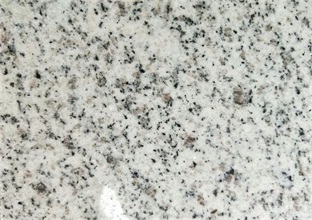 1-221212201R1963.jpg